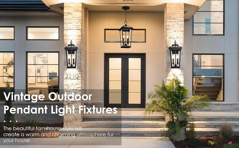 2 piece Height Adjustable Hanging Porch Lights, Black Lamp(Glass Lampshade)
