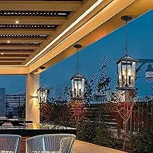 2 piece Height Adjustable Hanging Porch Lights, Black Lamp(Glass Lampshade)