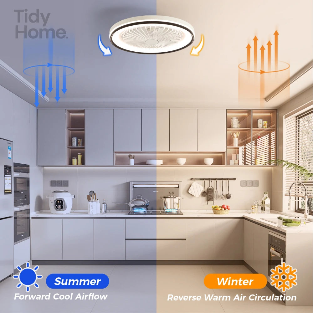 19 Inch RGB Dimmable Led Enclosed Ceiling Fan
