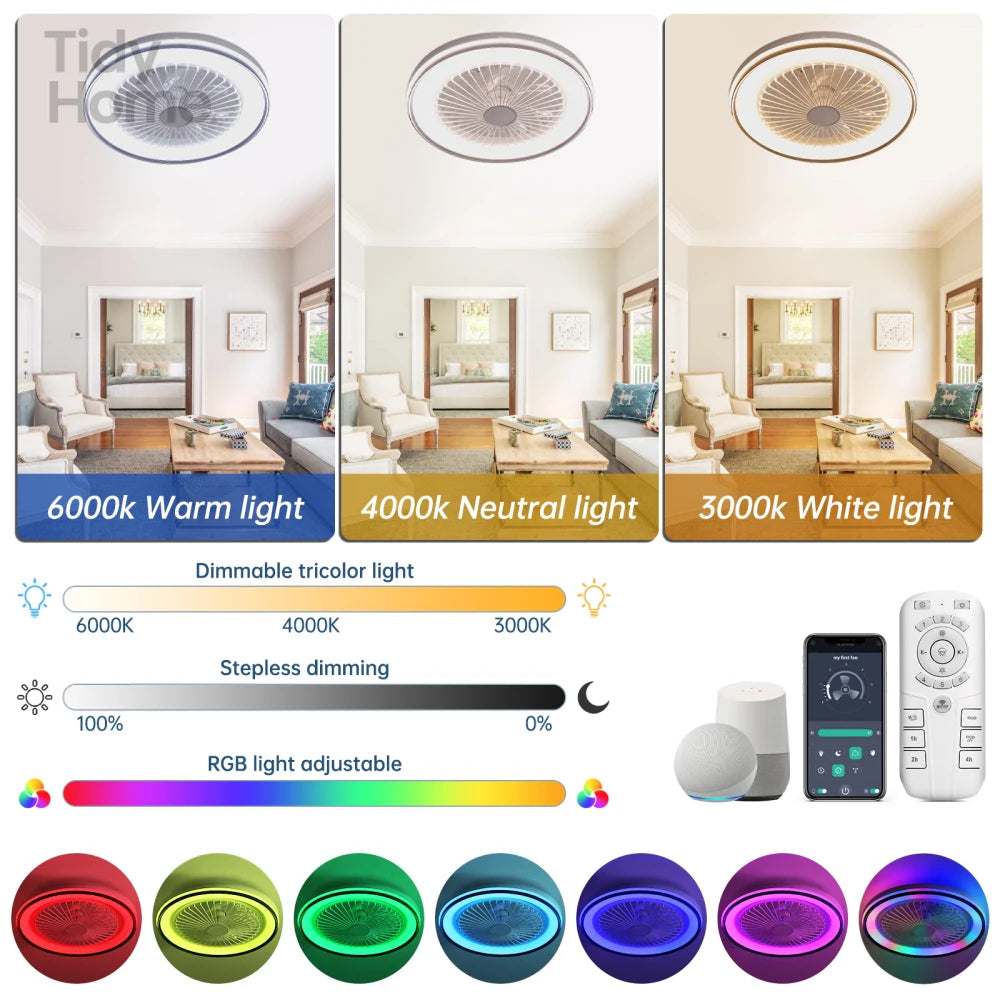 19 Inch RGB Dimmable Led Enclosed Ceiling Fan