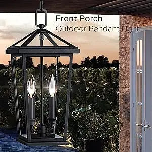 2 piece Height Adjustable Hanging Porch Lights, Black Lamp(Glass Lampshade)