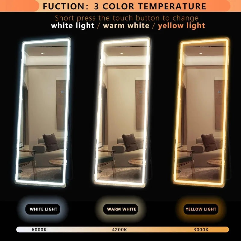 Full Length, 65"x22" Standing Full Body Mirror with Lights